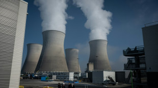 El gigante energ&eacute;tico franc&eacute;s EDF rebaja su previsi&oacute;n de resultados por la corrosi&oacute;n en sus centrales nucleares