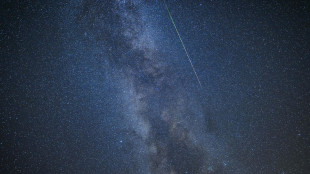 Il Sole arriva dal cuore della Via Lattea, &egrave; fuggito quasi 5 miliardi di anni fa