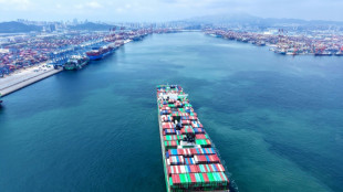 Deutsche Exporte im ersten Halbjahr auf Vorjahresniveau - Importe gestiegen