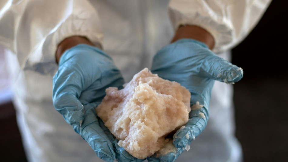 Ermittler heben in Sachsen Labor f&uuml;r Crystal Meth aus - vier Festnahmen