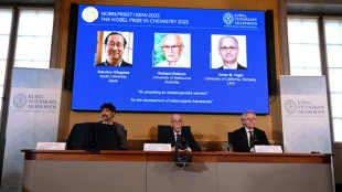 Drei Forscher erhalten Chemie-Nobelpreis f&uuml;r Entwicklung neuer Molekular-Architektur