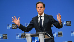 Los países de la OTAN deben gastar "mucho más" en defensa, advirtió Rutte