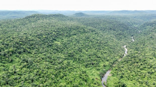 Cambodge: le retour du tigre pas toujours vu d'un bon &oelig;il