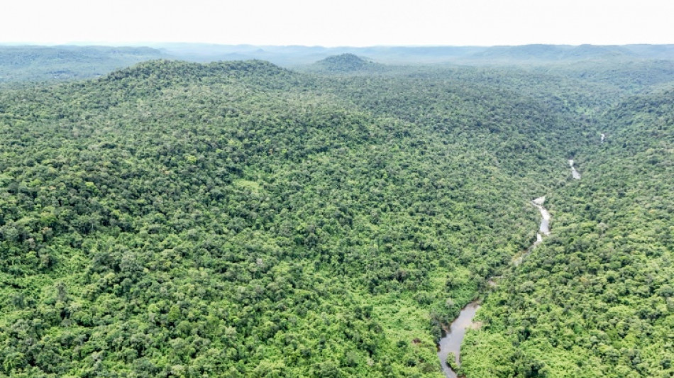 Cambodia wants to bring tigers back, but should it?