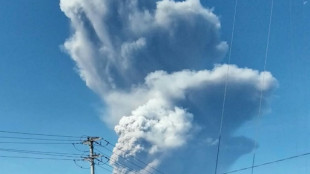 Tres excursionistas mueren en la erupci&oacute;n de un volc&aacute;n en Indonesia