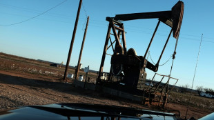 La demande mondiale de pétrole a dépassé fin 2022 le niveau d'avant la pandémie