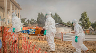 Fran&ccedil;a detecta primeiro caso de ebola fora da &Aacute;frica durante surto atual