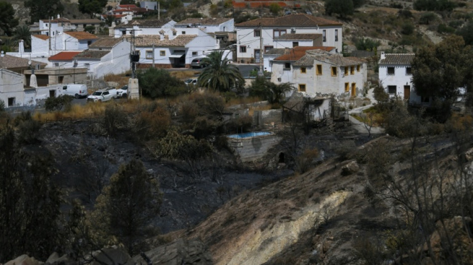 Doce extranjeros entre los 13 muertos en el incendio en Andaluc&iacute;a