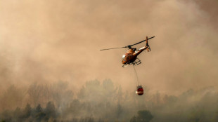 Un nouvel incendie dans les Pyr&eacute;n&eacute;es-Orientales a parcouru pr&egrave;s de 1.000 hectares