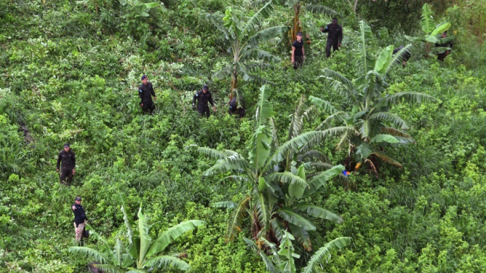 Le Honduras, point de transit de la coca&iuml;ne, en passe de devenir producteur