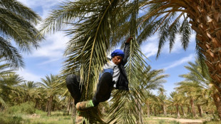 En Tunisie, "l'oasis de la révolution" veut garder son modèle inédit d'autogestion