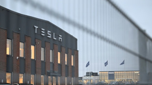 Post-Mitarbeiter in Schweden schlie&szlig;en sich Streik gegen Tesla an