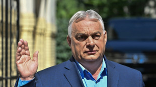 Hungary's Orban says graft case is 'pretext' to target his party