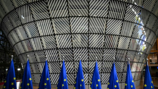 EU to invite Taliban officials to Brussels for migrant return talks