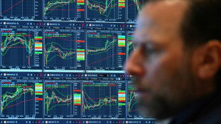 Wall Street en hausse apr&egrave;s des records 