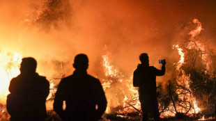 Ungl&uuml;ck bei Osterfeuer in Niedersachsen: Frau von umst&uuml;rzendem Baum get&ouml;tet