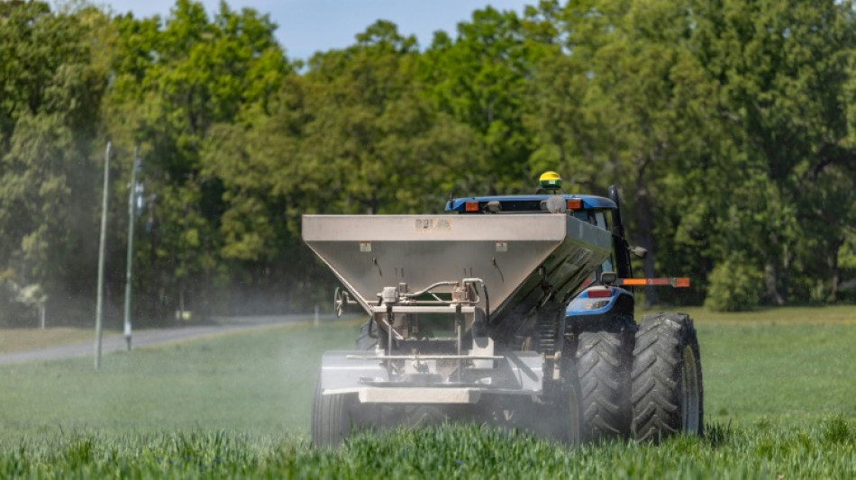 La FAO alerta que el comercio de fertilizantes cay&oacute; un 30% por la guerra en Oriente Medio