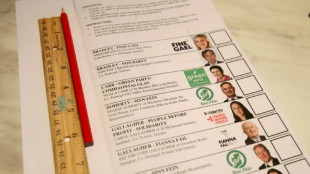 L&eacute;gislatives en Irlande: le d&eacute;compte des voix commence