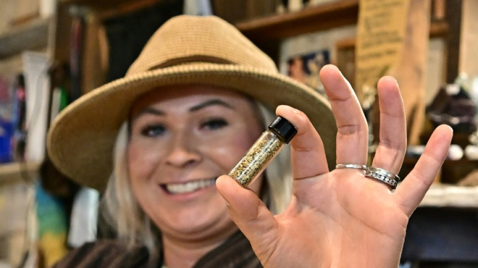 Alta do ouro impulsiona nova febre na Calif&oacute;rnia