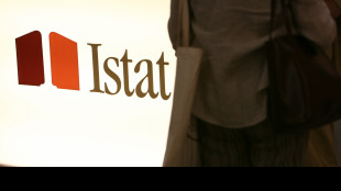 Istat, 222.999 protesti nel 2024, -0,9% rispetto a 2023