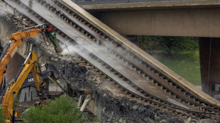 Aufr&auml;umarbeiten an teilweise eingest&uuml;rzter Br&uuml;cke in Dresden abgeschlossen