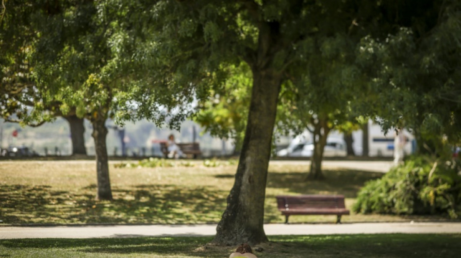Chaleur pr&eacute;coce: cinq choses &agrave; savoir sur les canicules en Europe