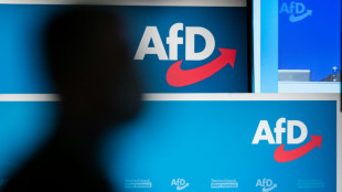 Landkreistagspr&auml;sident: AfD-Sieg im Kreis Sonneberg muss respektiert werden