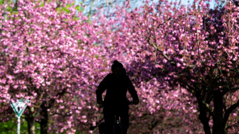 Wetterbilanz: Fr&uuml;hjahr in Deutschland war eines der mildesten seit Messbeginn