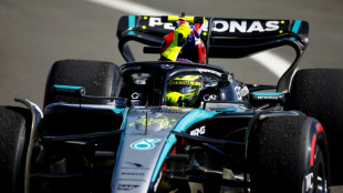 Hamilton e Mercedes tentam manter boa sequ&ecirc;ncia no GP da Hungria