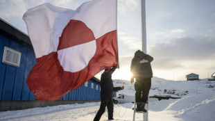 Groenland: les minerais critiques au c&oelig;ur d'une visite du ministre du Commerce fran&ccedil;ais