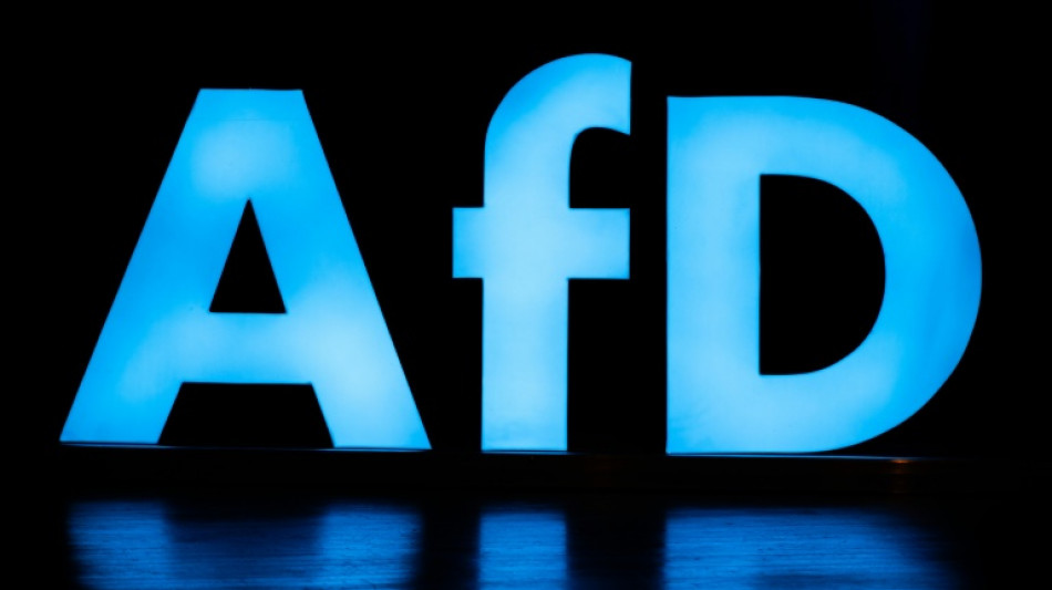 Online-Medien: Chef von AfD-Nachwuchs fordert mehr inhaltliche Tiefe seiner Partei