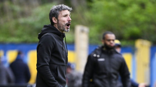 Van Bommel, cerca de suceder a Rudi Garcia como seleccionador de B&eacute;lgica