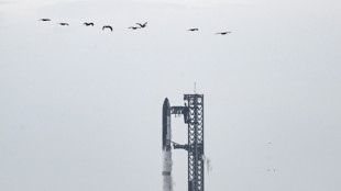 SpaceX's Starship megarocket launches on latest test flight