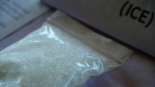 Dois mexicanos s&atilde;o detidos em opera&ccedil;&atilde;o contra laborat&oacute;rio de drogas na &Aacute;frica do Sul