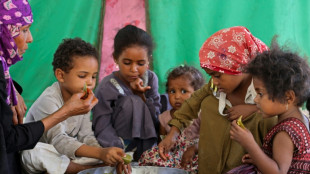 Des familles y&eacute;m&eacute;nites r&eacute;duites &agrave; manger des feuilles, faute d'aide alimentaire