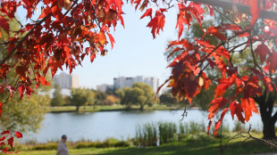 Meglio l'attivit&agrave; fisica stop-and-go, con le pause brucia di pi&ugrave;