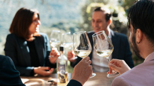 Vendemmia parte bene, ma serbatoi cantine ancora pieni di giacenze