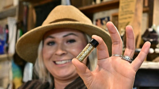 Nouvelle ru&eacute;e vers l'or en Californie, face &agrave; l'envol&eacute;e des cours