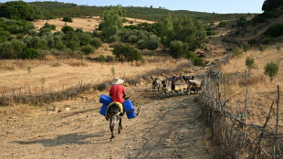 Extreme heatwave grips Tunisia as wide power cuts fuel frustration