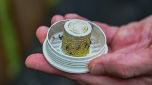 US firm takes on backyard mosquitoes -- with 600,000 mosquitoes