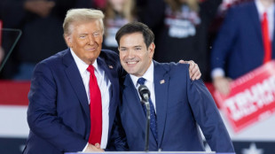 Trump d&eacute;voile le casting de son administration avant sa rencontre avec Biden