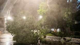 14 killed by lake burst in Taiwan as Typhoon Ragasa wreaks havoc