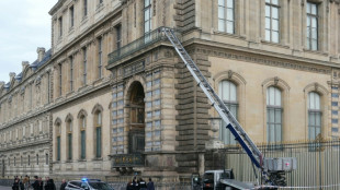 Museu do Louvre instalar&aacute; 'dispositivos anti-intrus&atilde;o' antes do fim do ano