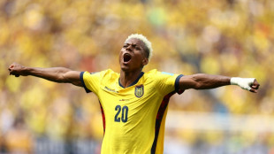 Presidente do Equador decreta feriado ap&oacute;s vit&oacute;ria sobre a Alemanha na Copa do Mundo