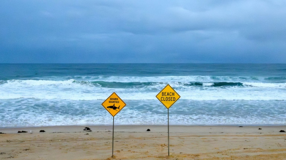 Shark bites surfer in Australian state's fourth attack in 48 hours