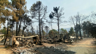 L&aacute;grimas y desesperaci&oacute;n ante un camping reducido a cenizas en Espa&ntilde;a