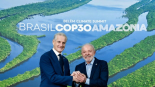 Norwegen stellt bei Klimagipfel Milliarden f&uuml;r neuen Waldschutz-Fonds in Aussicht