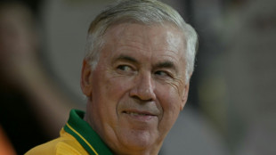 Sele&ccedil;&atilde;o inicia concentra&ccedil;&atilde;o para Copa do Mundo de 2026