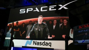 SpaceX se hisse &agrave; la cinqui&egrave;me place des capitalisations mondiales, d&eacute;passe Amazon