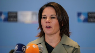 Baerbock warnt vor Folgen des Brexit f&uuml;r Frieden in Nordirland